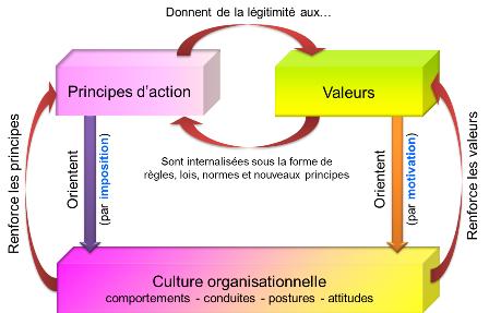 Social Business Models: Valeurs, principes d'action et culture organisationnelle